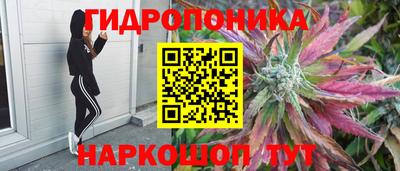 твердый Донецк